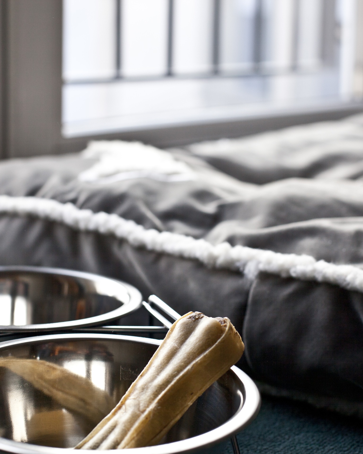 "4 paws" at the relexa hotel relexa hotel Berlin - dog arrangement